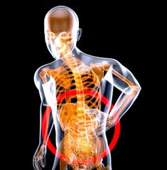 Une figure humaine transparente avec un squelette mis en évidence et des cercles rouges autour de la zone du bas du dos, illustrant la douleur ou l'inconfort, souligne l'importance de prendre soin de son corps, y compris la nécessité de prendre soin de son pancréas.