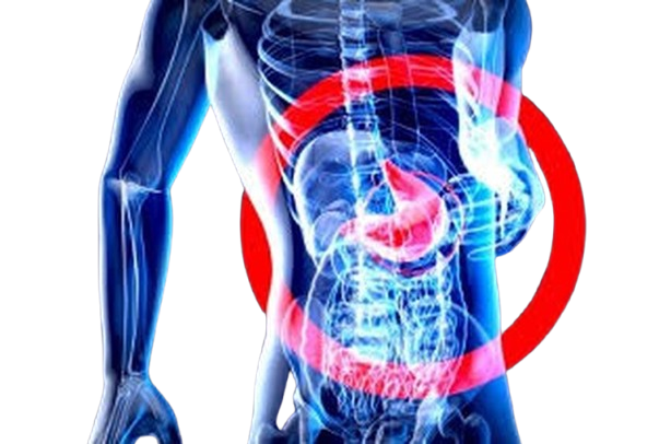 Illustration numérique d'une zone abdominale humaine avec un estomac surligné, entouré d'un symbole de cible rouge, soulignant l'importance de prendre soin de son pancréas.